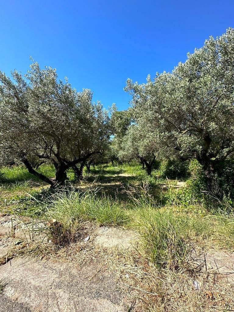 Rif.RI234| area edificabile squillace - Vista 2