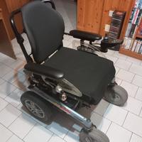 sedia a rotelle