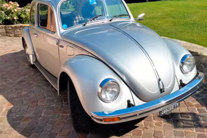 Maggiolino serie limitata silver bug