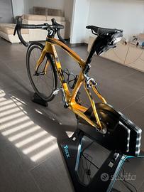 Bici da corsa Pinarello F12