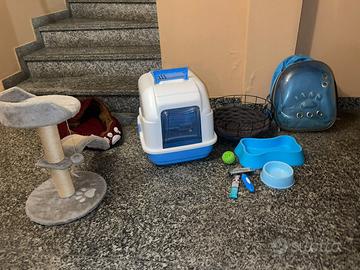 Accessori per gatti