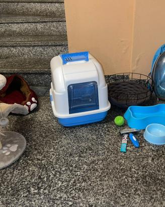 Accessori per gatti