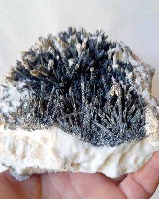 X18 - STORICA ANTIMONITE (Le Cetine, Italia)