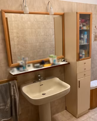 Mobile e specchio bagno (compreso di faretti)