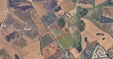 Terreno agricolo a Partinico, Cda Baronia