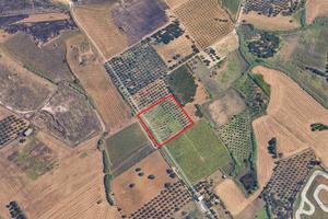 Terreno agricolo a Partinico, Cda Baronia