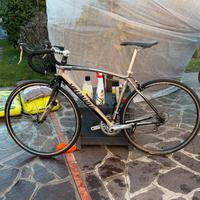 Specialized secteur sport anno 2011 TAGLIA M