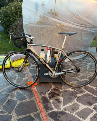 Specialized secteur sport anno 2011 TAGLIA M