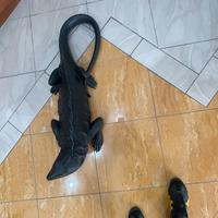 I iguana nero 120 cm verroresina pieno