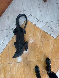 I iguana nero 120 cm verroresina pieno