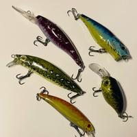 Esche finte pesca / arrificiali pesca