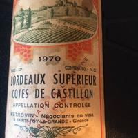 bottiglia vino  BORDEAUX  SUPERIEUR COTES DE CAST 