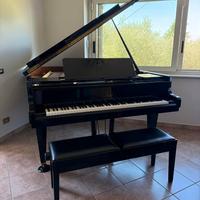 🎹 PIANOFORTE A CODA RUD. IBACH SOHN 🎶