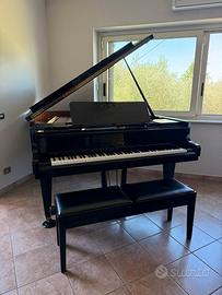 🎹 PIANOFORTE A CODA RUD. IBACH SOHN 🎶