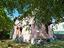 Immagine 6