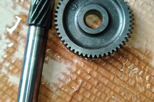 rapporti primari 13/52