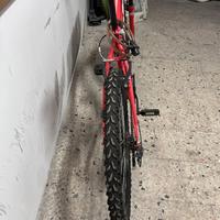 Bici mtb da ragazzo SBK