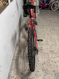 Bici mtb da ragazzo SBK