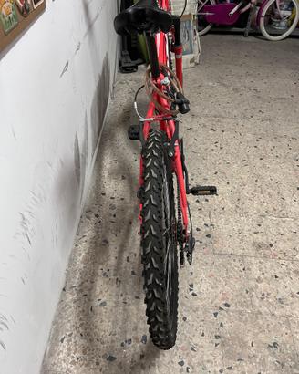 Bici mtb da ragazzo SBK