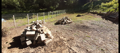 Terreno agricolo su Rende