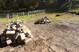 Terreno agricolo su Rende