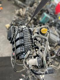 Motore Dacia Sandero 1.0 Benz. (B4D H4)