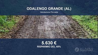 Immobile in asta di 21700 m² a Odalengo Grande