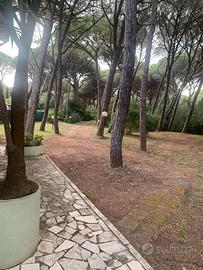 Marina di Grosseto Casa in Pineta "La Falena"