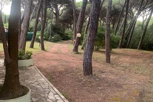 Marina di Grosseto Casa in Pineta "La Falena"