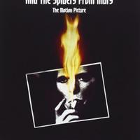 David Bowie DVD Ziggy Stardust 