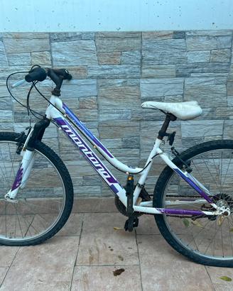 Bicicletta