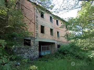 Rustico con terreno
