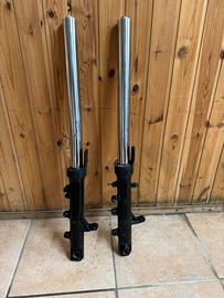 Forcelle tmax 500
