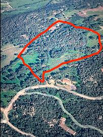 Miglioramento fondiario