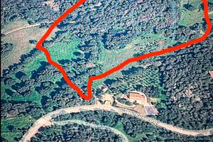 Miglioramento fondiario