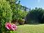 Immagine 15