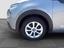 Immagine 15
