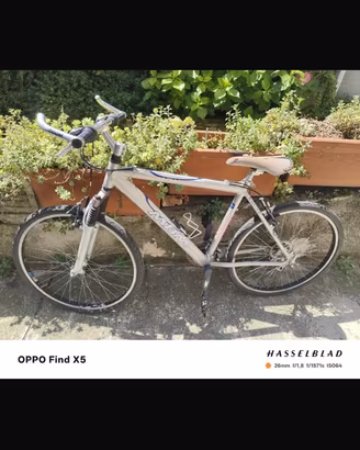 Mountan bike bianca