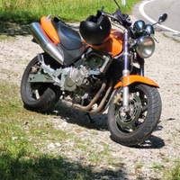 Moto Hornet 600