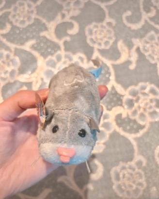 Zhu zhu pets