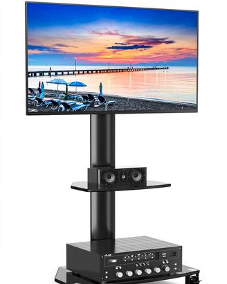Carrellotv+Monitor SAMSUNG SYNCMASTER B2230 HD