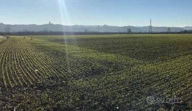 Immobile in asta di 56472 m² a Castagnito