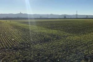 Immobile in asta di 56472 m² a Castagnito