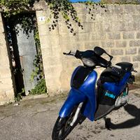 Scarabeo minarelli orizzontale