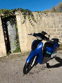 Scarabeo minarelli orizzontale