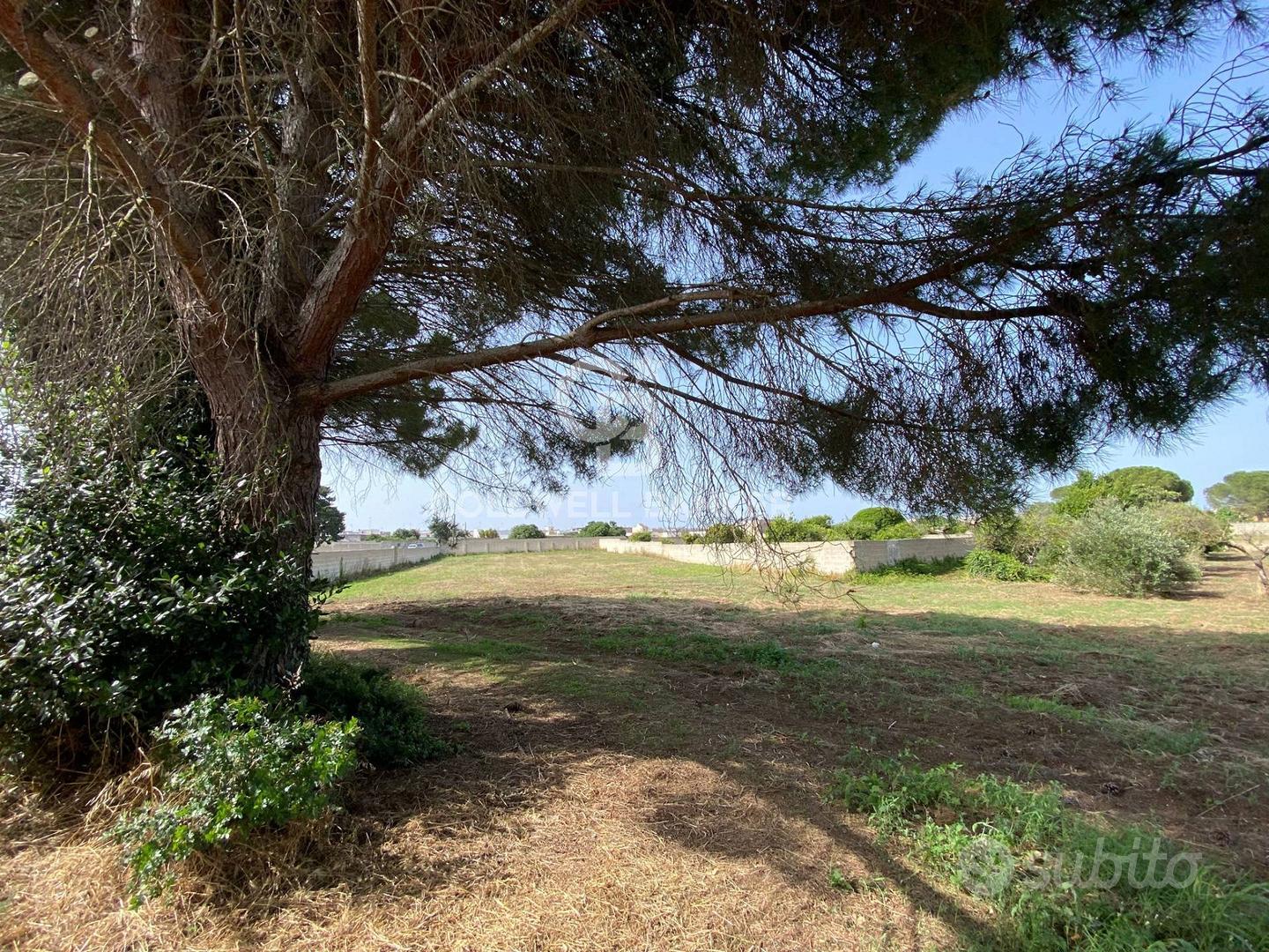 Terreno Edificabile - Vernole - Vista 3