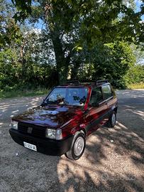 Fiat Panda 1100 i.e. cat Young