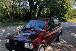 Fiat Panda 1100 i.e. cat Young