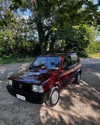 Fiat Panda 1100 i.e. cat Young