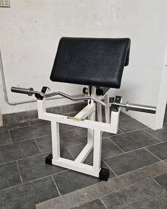 Panca Scott Technogym serie lux originale 